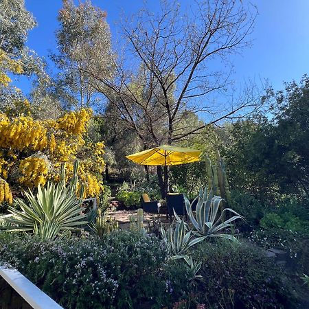 Villa La Reforma - Newly Designed 4Br House & Pool In Los Angeles By Topanga エクステリア 写真