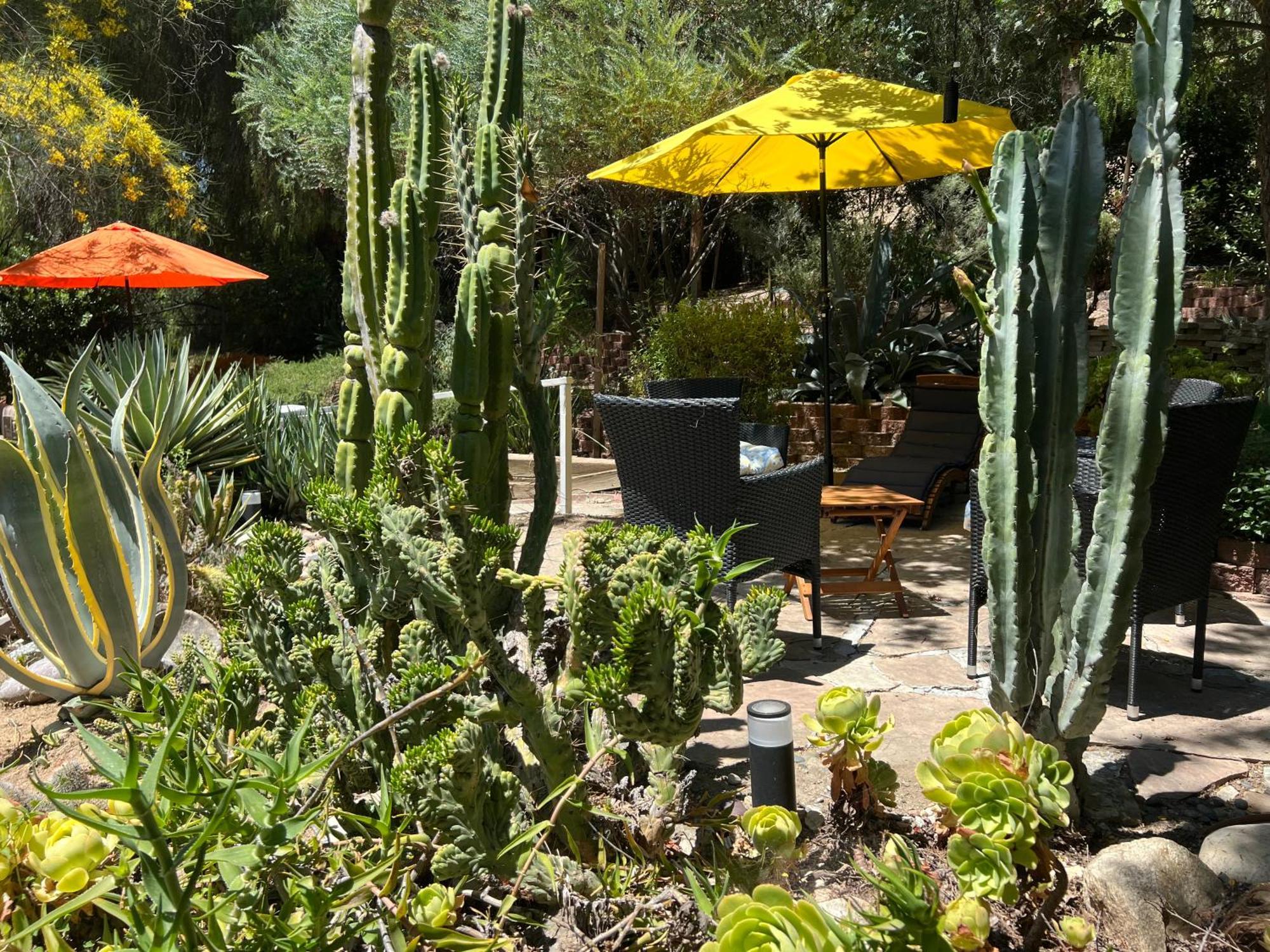 Villa La Reforma - Newly Designed 4Br House & Pool In Los Angeles By Topanga エクステリア 写真